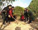 018eac9015834594840ddc2d9246fde37be.jpg - 
