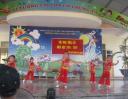 IMG_0156.jpg - 