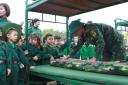 gấp chan 2.jpg - 