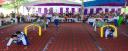 DSC_6842.JPG - 